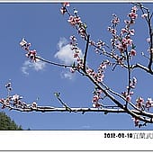 P1060844