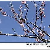 P1060845