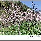 P1060847