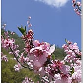 P1060850
