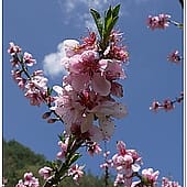P1060849