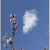 P1060852