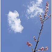 P1060851