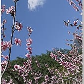 P1060853