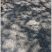 P1060857