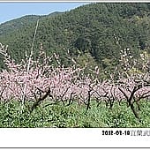 P1060859