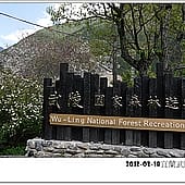 P1060883