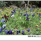 P1060902