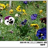 P1060903