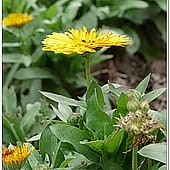 P1060905