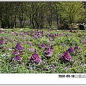 P1060795