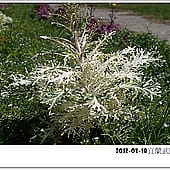P1060798