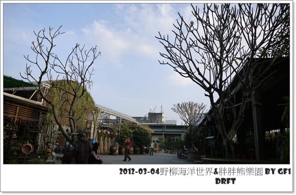P1060669