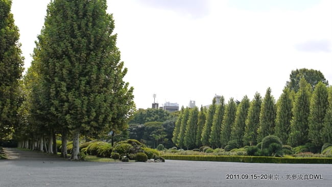 P1050588.JPG