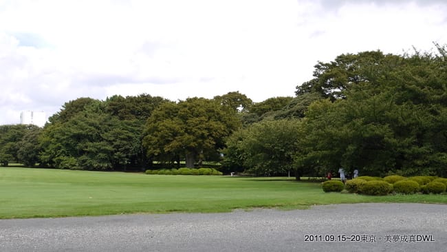 P1050591.JPG
