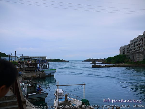 P1030628.JPG