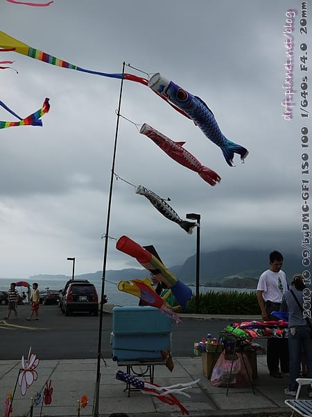 P1030633.JPG