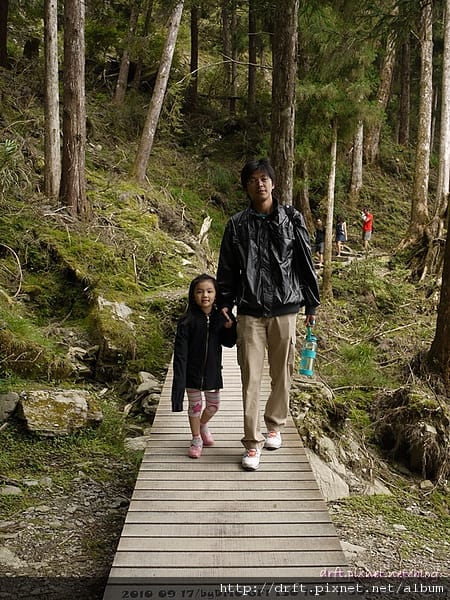 P1030342.JPG