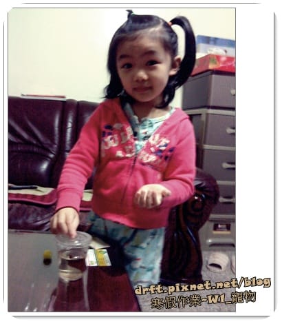 DSC01375.JPG DSC01375.JPG