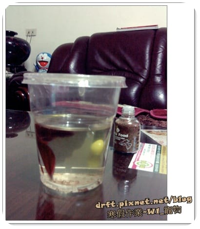 DSC01378.JPG DSC01378.JPG