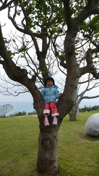 P1010816.JPG