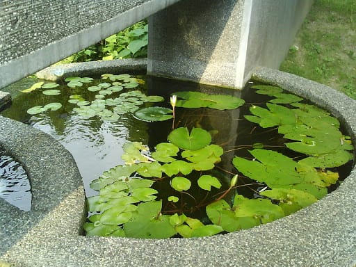 [兩人的午茶時間]富貴陶園@鶯歌