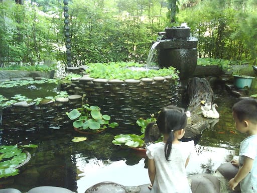 [兩人的午茶時間]富貴陶園@鶯歌