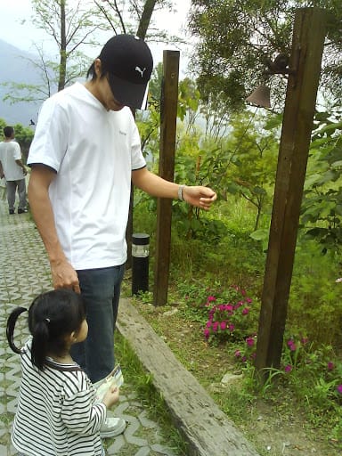 走走。綠光森林@桃園復興鄉
