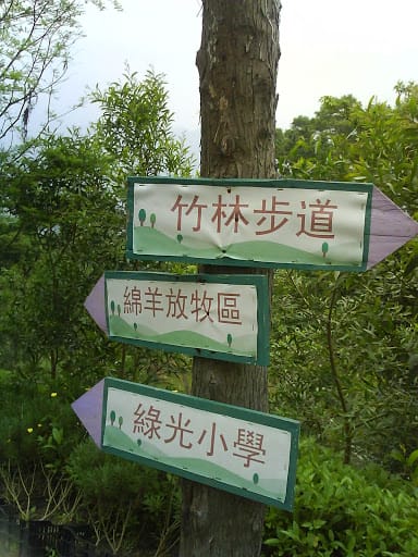 走走。綠光森林@桃園復興鄉