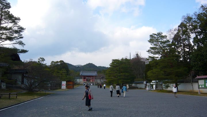 2008 [Kyoto京都]賞櫻之旅Day3#2  最愛御室櫻仁和寺&最美金閣寺
