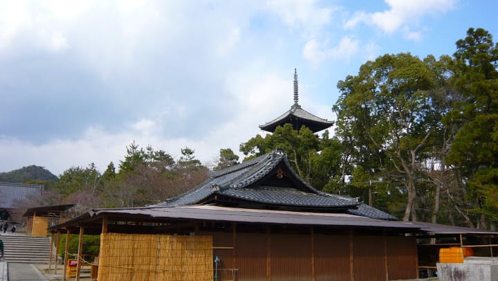 2008 [Kyoto京都]賞櫻之旅Day3#2  最愛御室櫻仁和寺&最美金閣寺