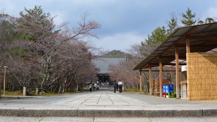 2008 [Kyoto京都]賞櫻之旅Day3#2  最愛御室櫻仁和寺&最美金閣寺