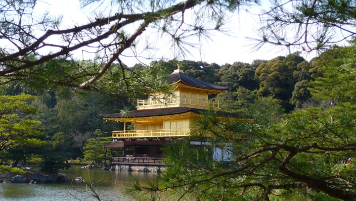 2008 [Kyoto京都]賞櫻之旅Day3#2  最愛御室櫻仁和寺&最美金閣寺