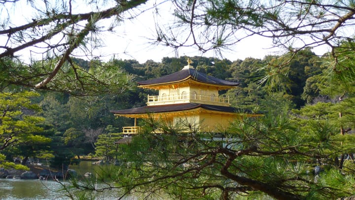 2008 [Kyoto京都]賞櫻之旅Day3#2  最愛御室櫻仁和寺&最美金閣寺