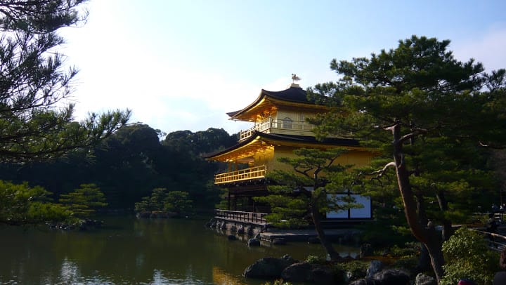 2008 [Kyoto京都]賞櫻之旅Day3#2  最愛御室櫻仁和寺&最美金閣寺