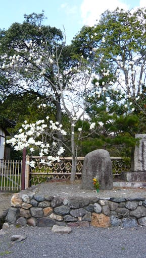 2008 [Kyoto京都]賞櫻之旅Day3#1 清涼寺&渡月橋嵐山賞櫻