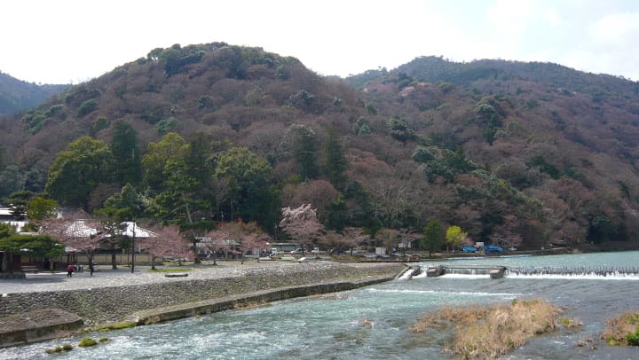 2008 [Kyoto京都]賞櫻之旅Day3#1 清涼寺&渡月橋嵐山賞櫻