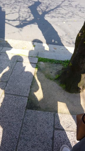 2008 [Kyoto京都]賞櫻之旅Day3#1 清涼寺&渡月橋嵐山賞櫻