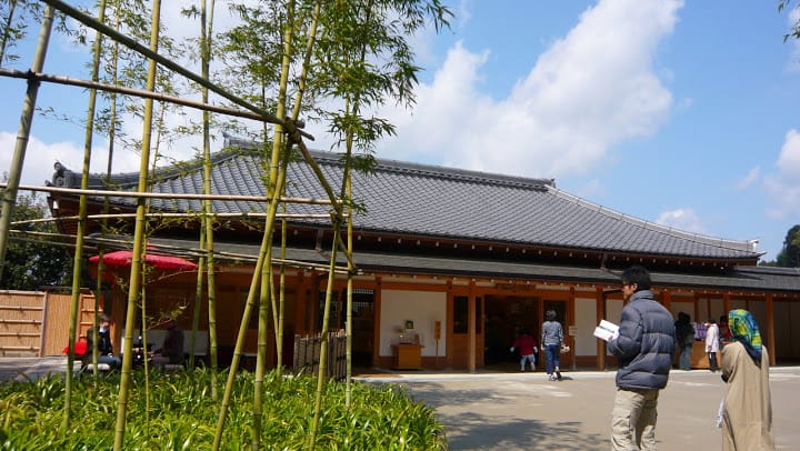 2008 [Kyoto京都]賞櫻之旅Day2#2 東山慈照寺~銀閣寺整修中