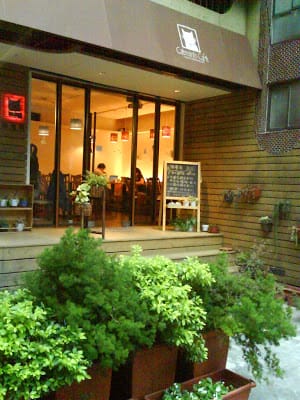 29歲的下午,貓薄荷、盜墓筆記與我 - 第1張圖 29歲的下午,貓薄荷、盜墓筆記與我