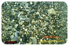 WORDDSC00050