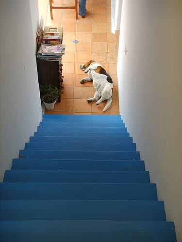 澎湖希臘邊境之旅Day3 - 第7張圖 澎湖希臘邊境之旅Day3