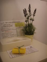 民宿│希臘邊境~103愛情海之約@澎湖