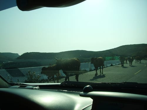 澎湖希臘邊境之旅Day1 - 第32張圖 澎湖希臘邊境之旅Day1
