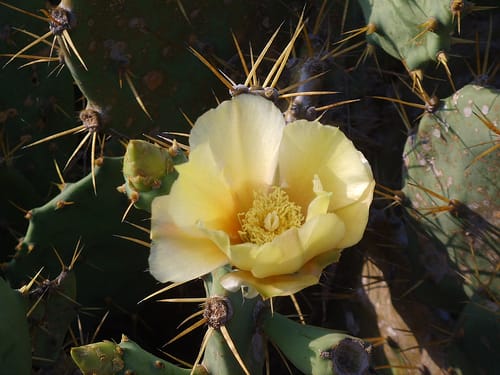 澎湖希臘邊境之旅Day1 - 第33張圖 澎湖希臘邊境之旅Day1