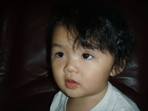 十二個月│馨馨的嗜好