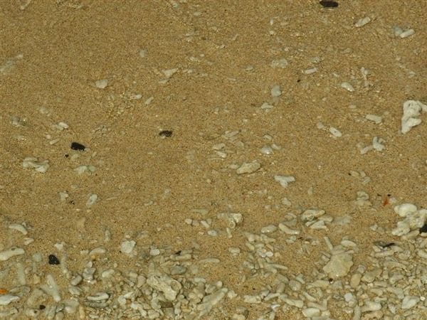 按一下觀看整張圖片