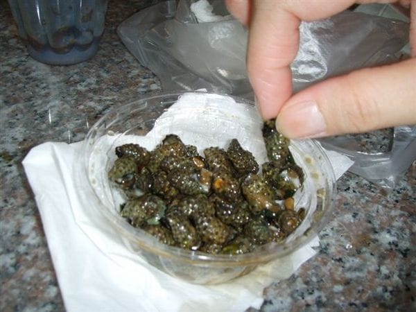 按一下觀看整張圖片