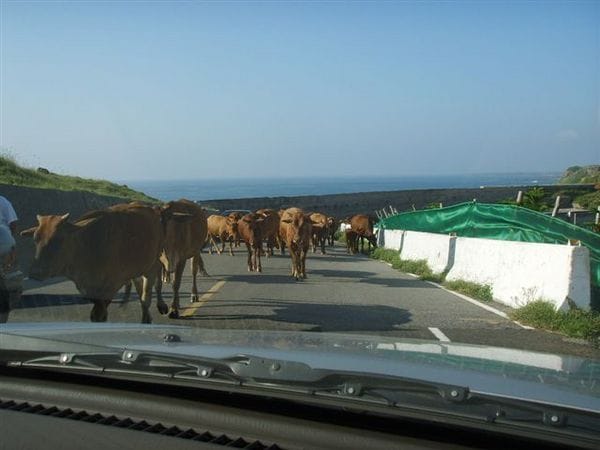 按一下觀看整張圖片