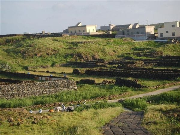 按一下觀看整張圖片